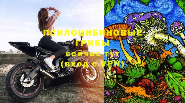 прущие крисы Алзамай