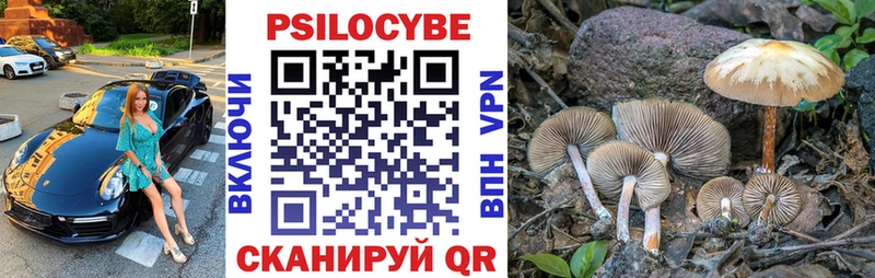 mega ссылки  Дмитриев  Псилоцибиновые грибы ЛСД  купить  цена 